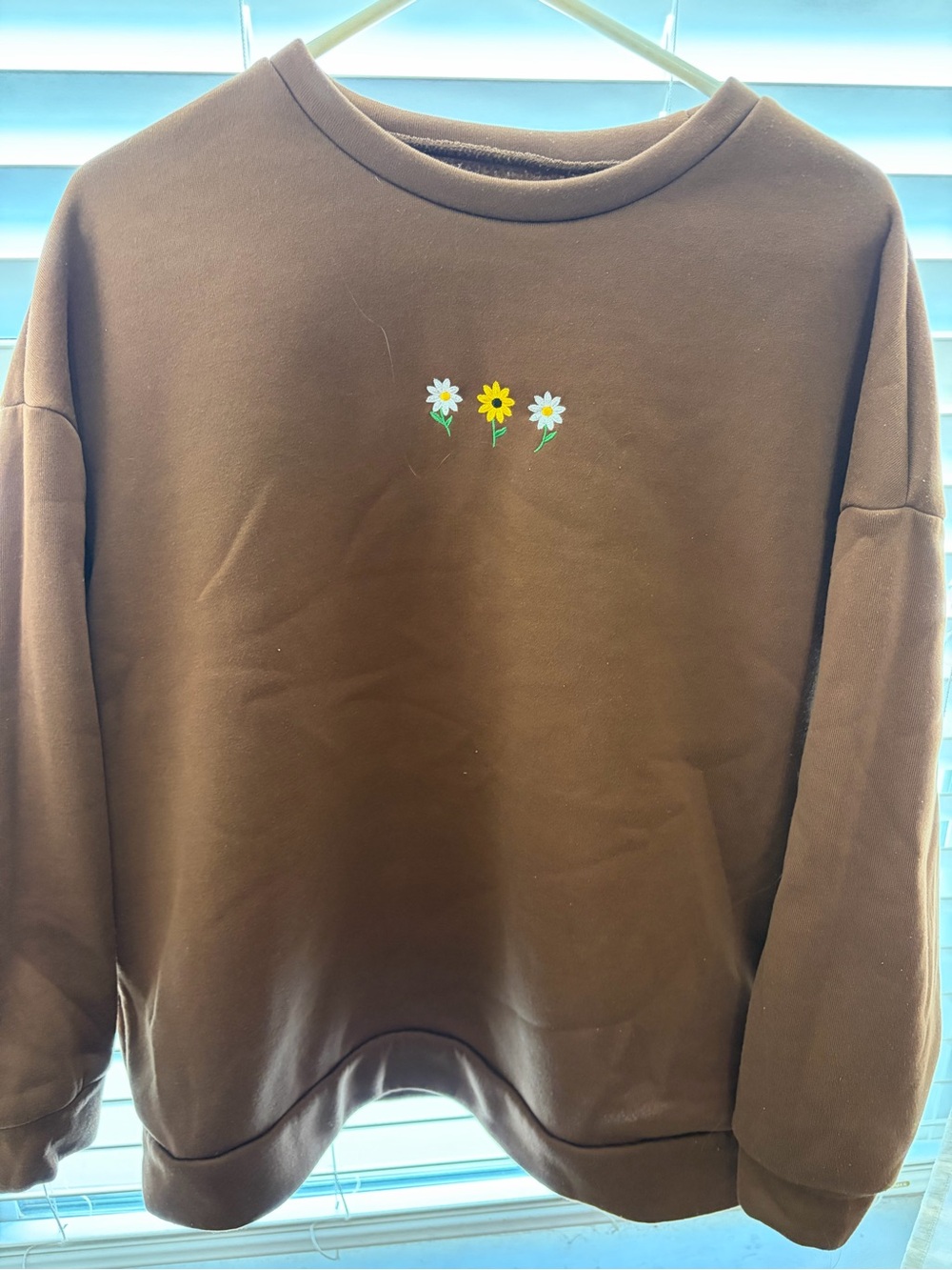 Brown Sweatshirt with Daisy Embroidery